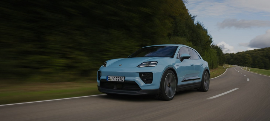 Macan
